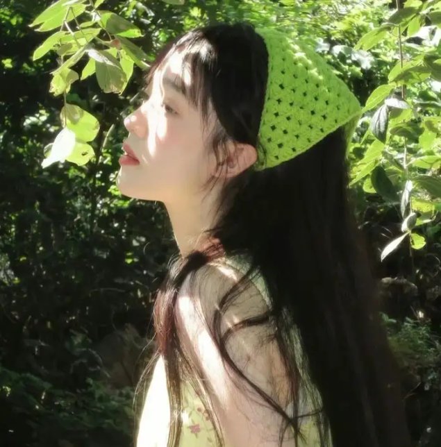 鸟儿们的奇幻冒险